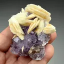 Barite with Fluorite (1268) - image 2
