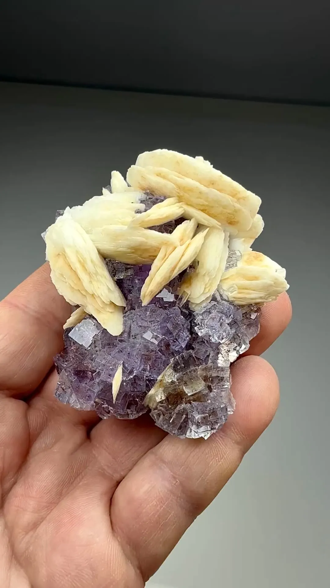 Barite with Fluorite (1268) - image 2