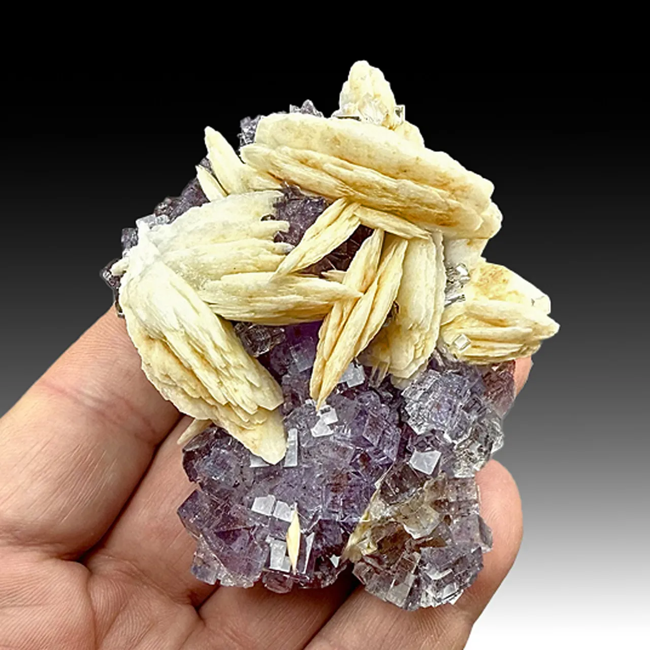 Barite with Fluorite (1268) - image 1