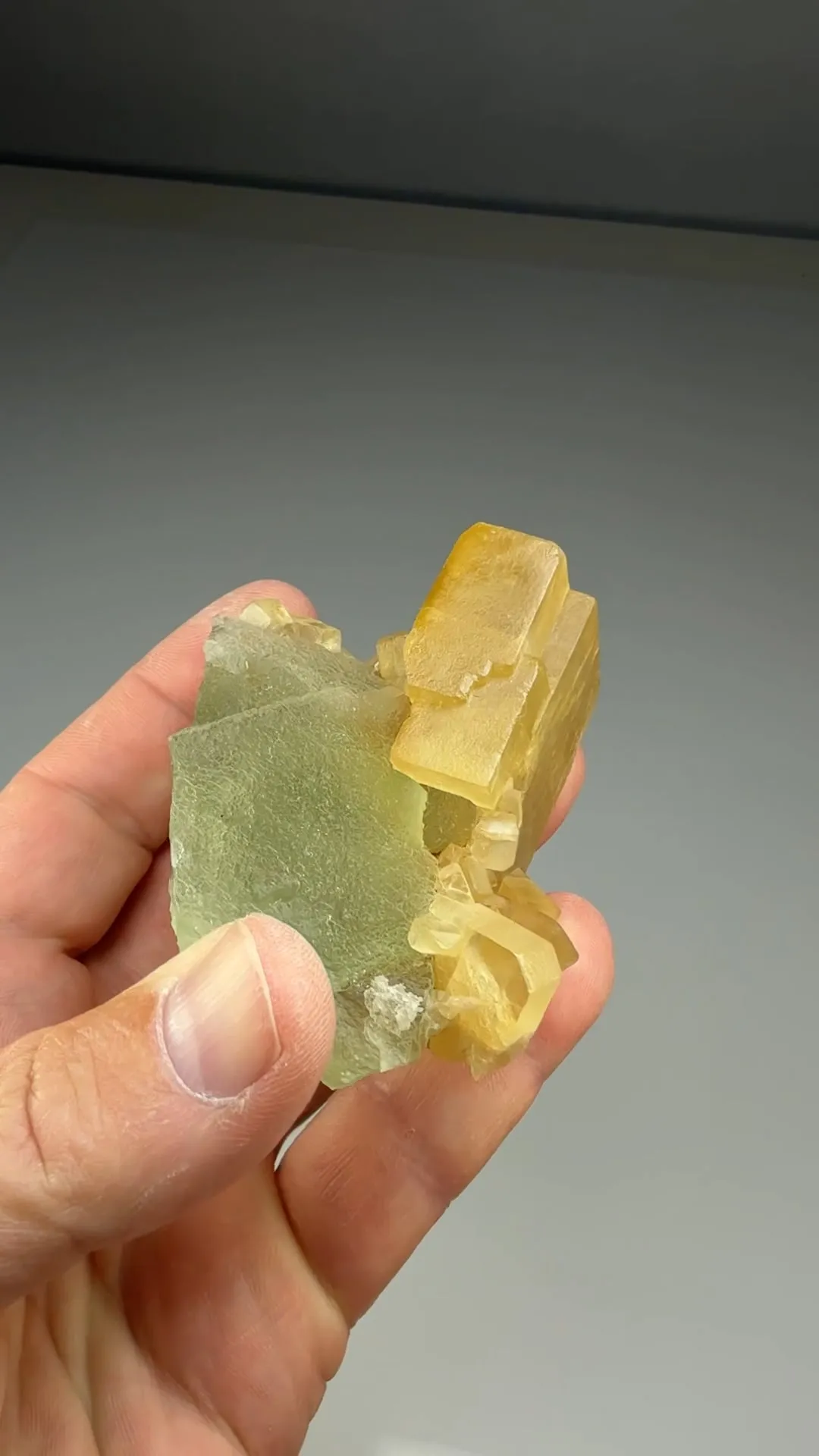 Barite with Fluorite (1355) - image 2