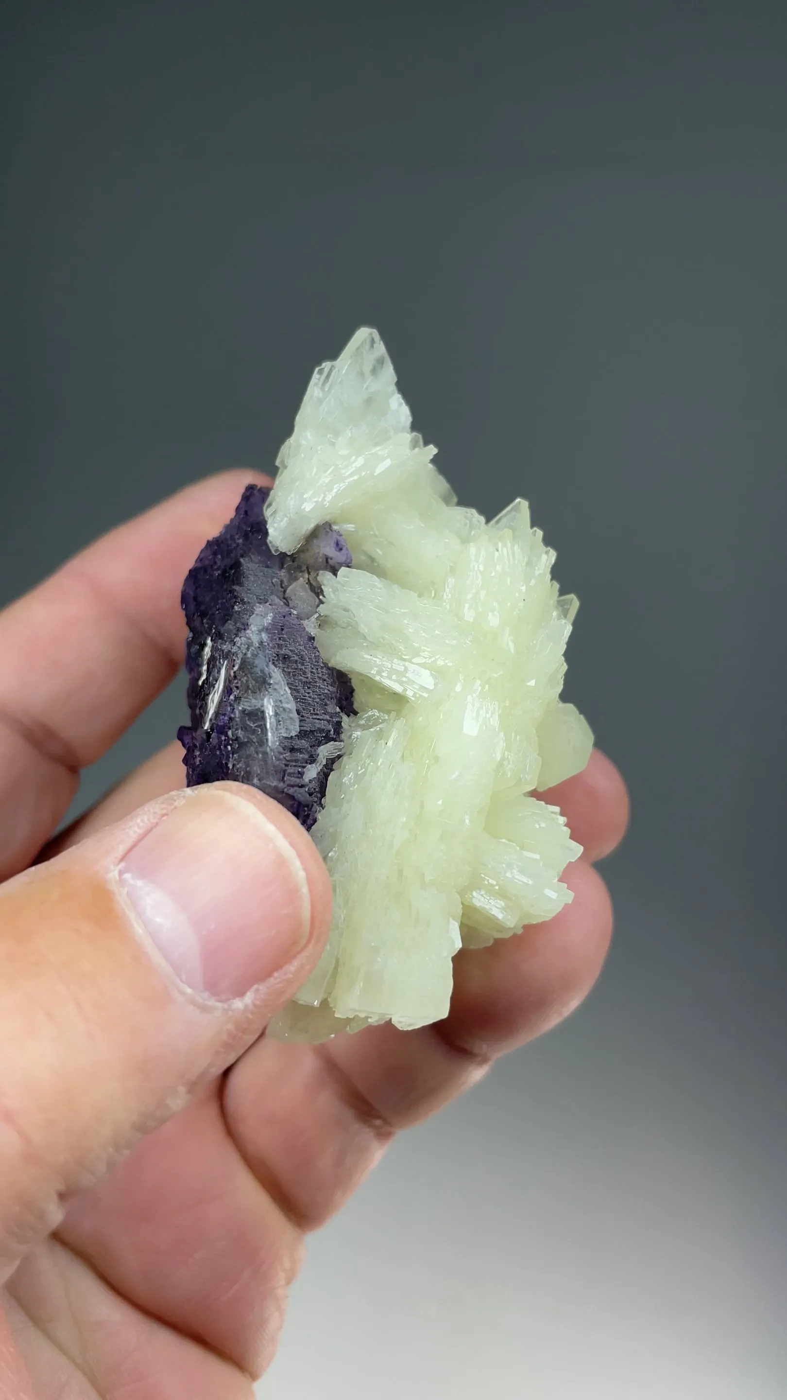 Barite with Fluorite - image 2