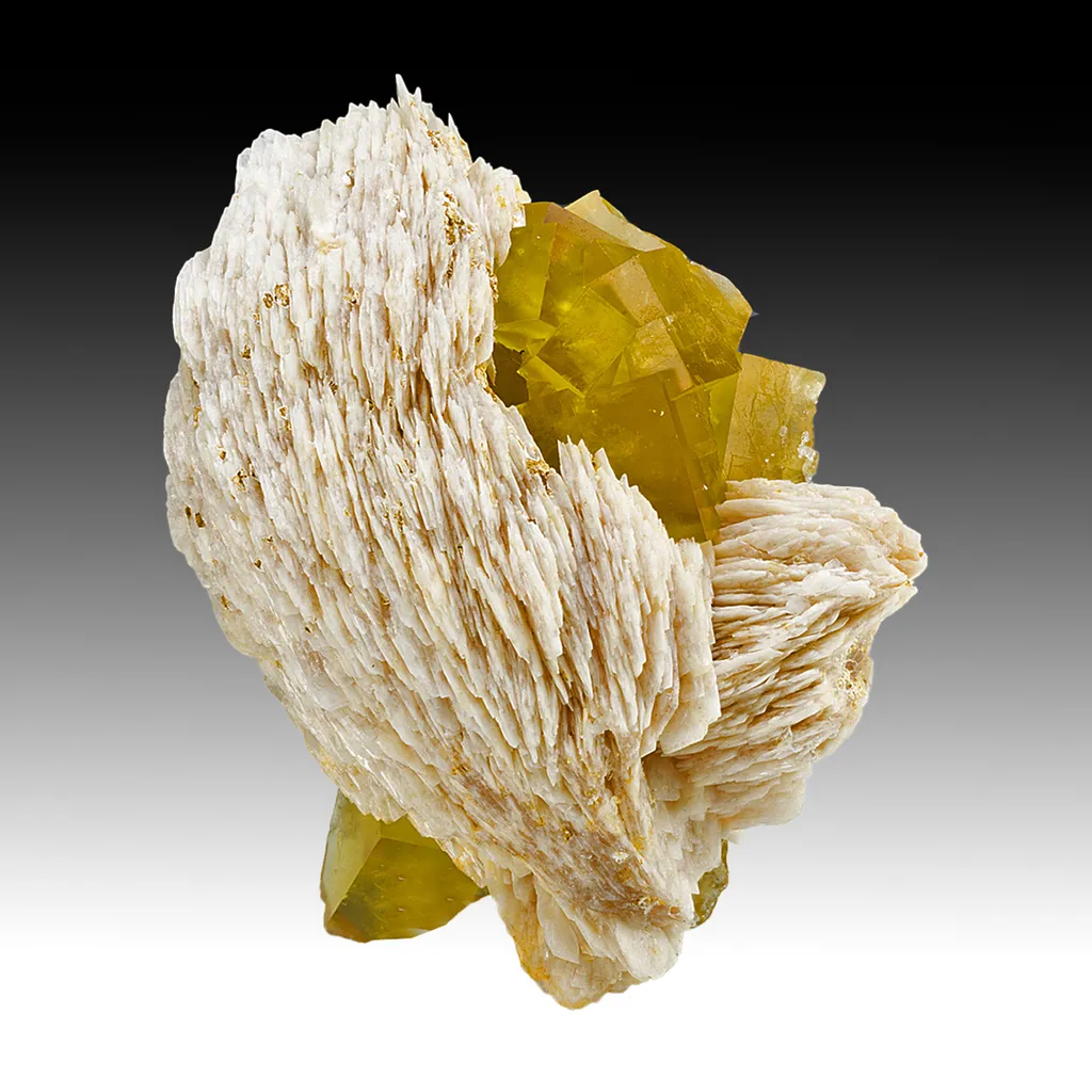 Barite with Fluorite image