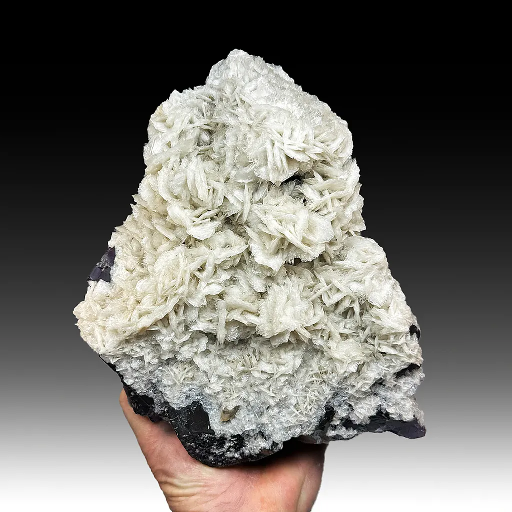 Barite with Fluorite image