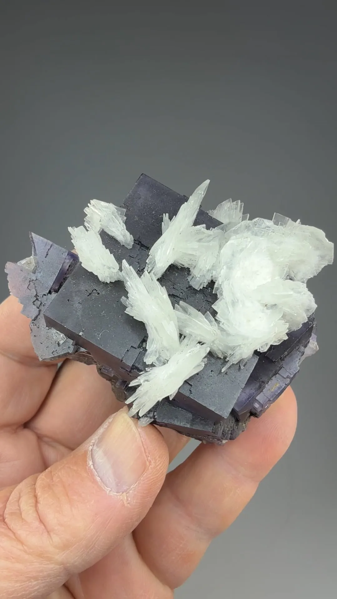 Barite with Fluorite - image 2