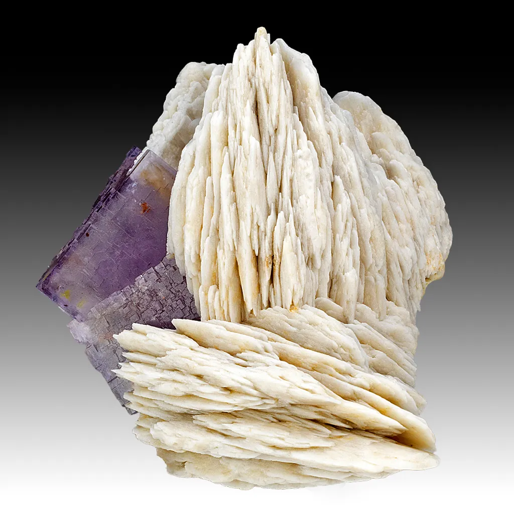 Barite with Fluorite image