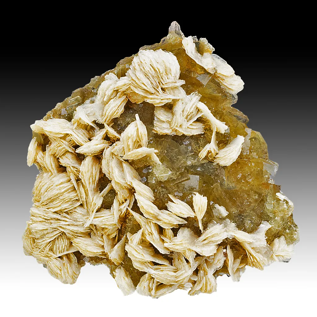 Barite with Fluorite image