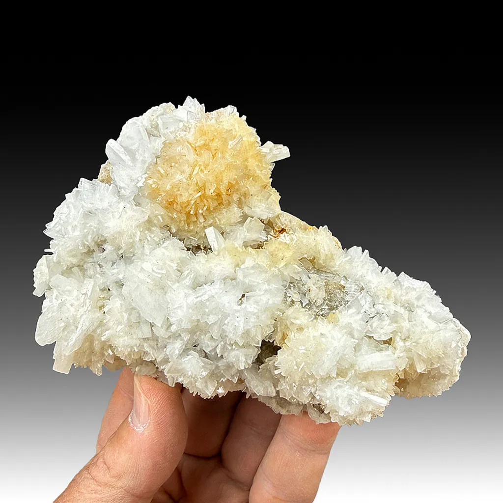 Barite with Fluorite image