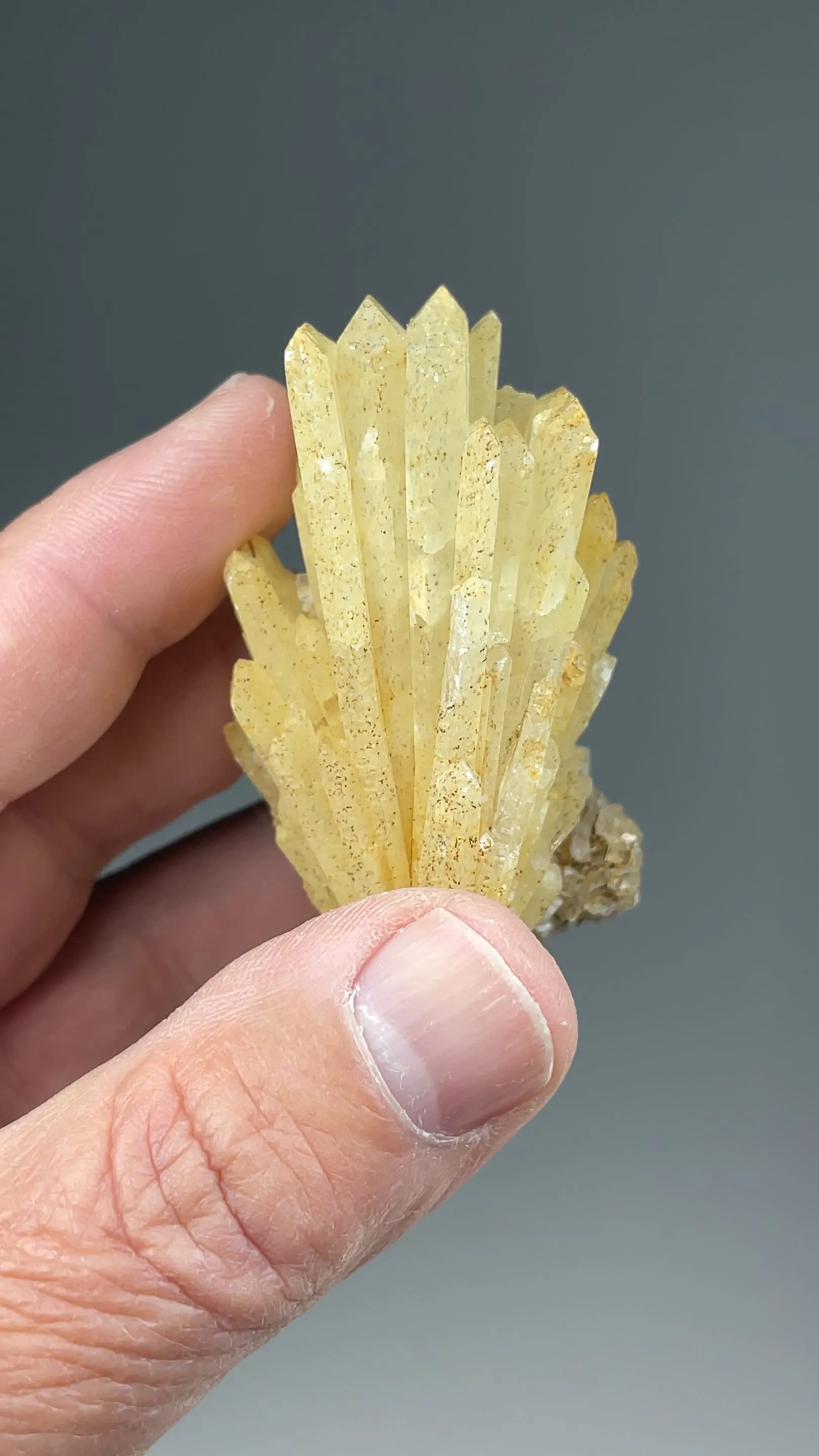 Barite with Fluorite - image 2