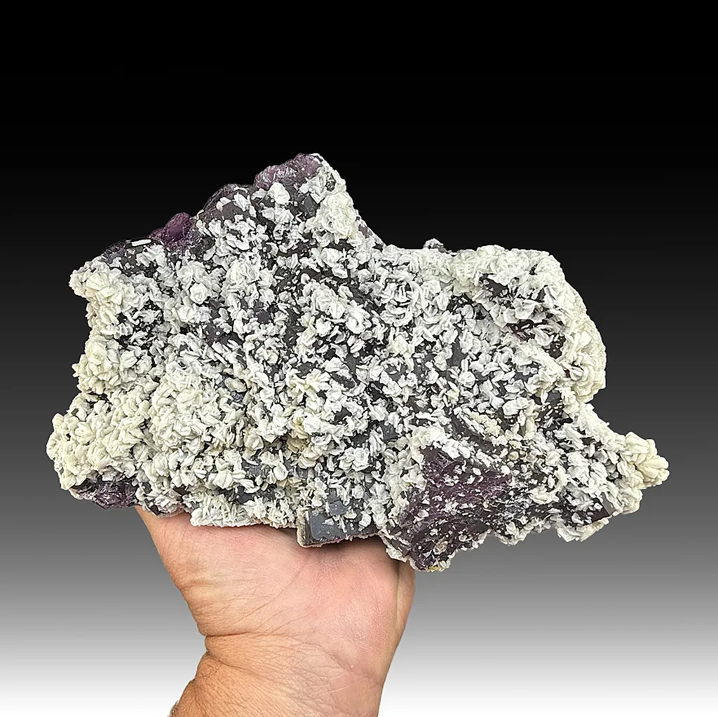 Barite with Fluorite image