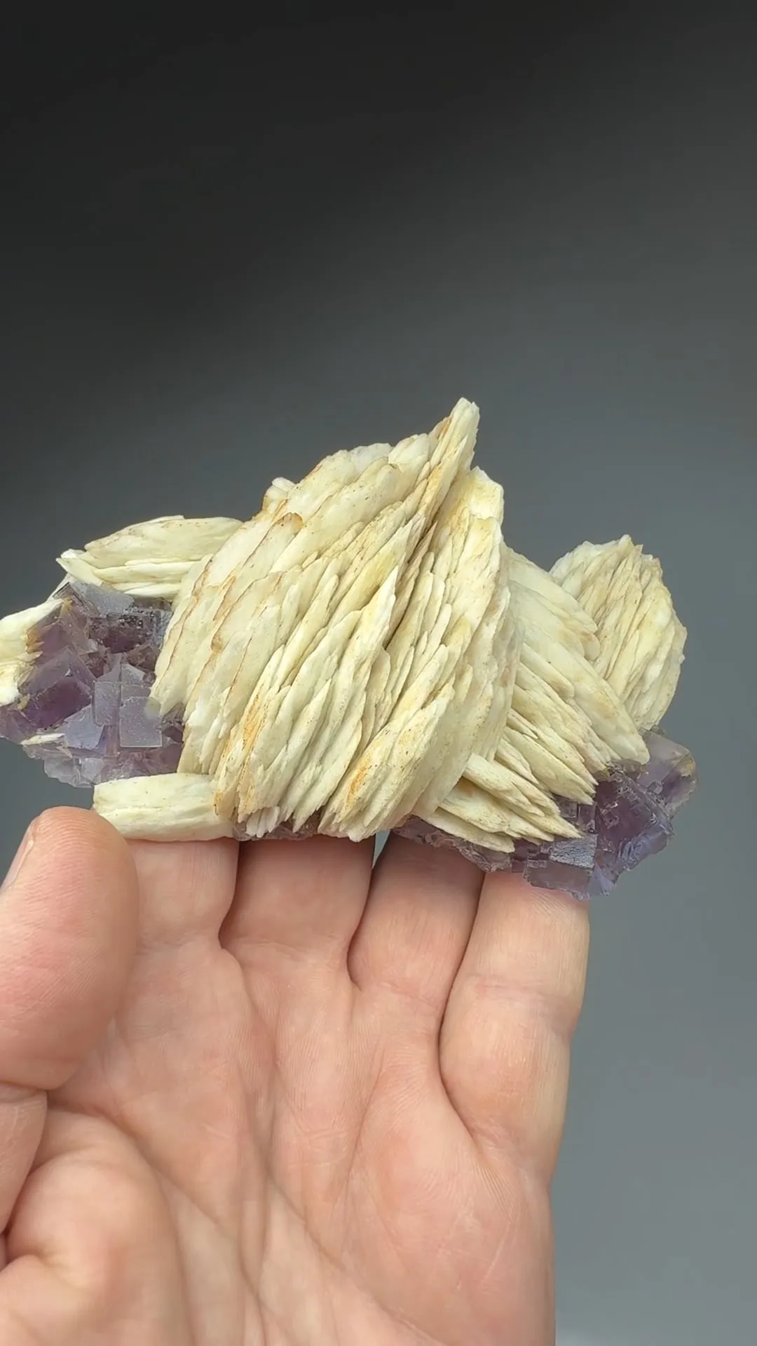 Barite with Fluorite - image 2