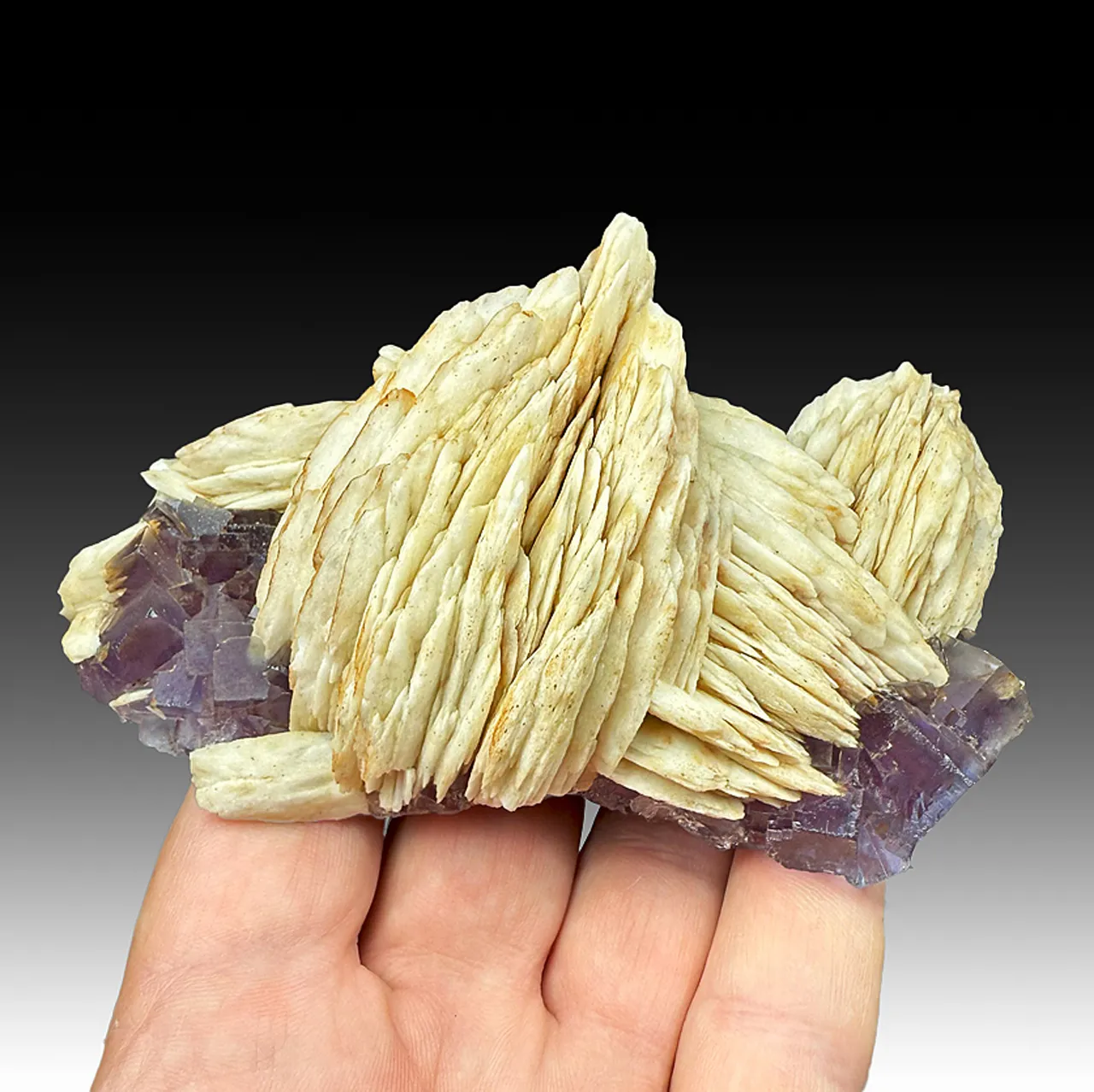 Barite with Fluorite - image 1