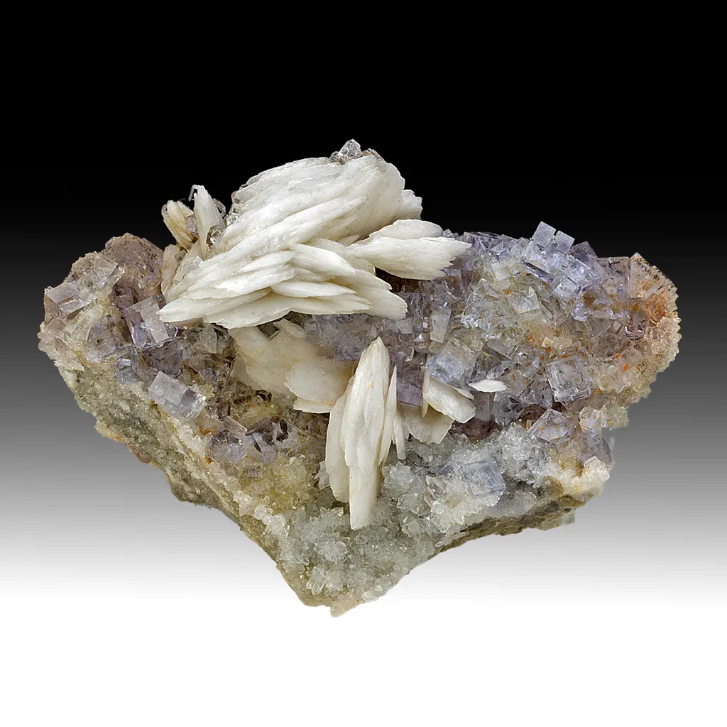 Barite with Fluorite image