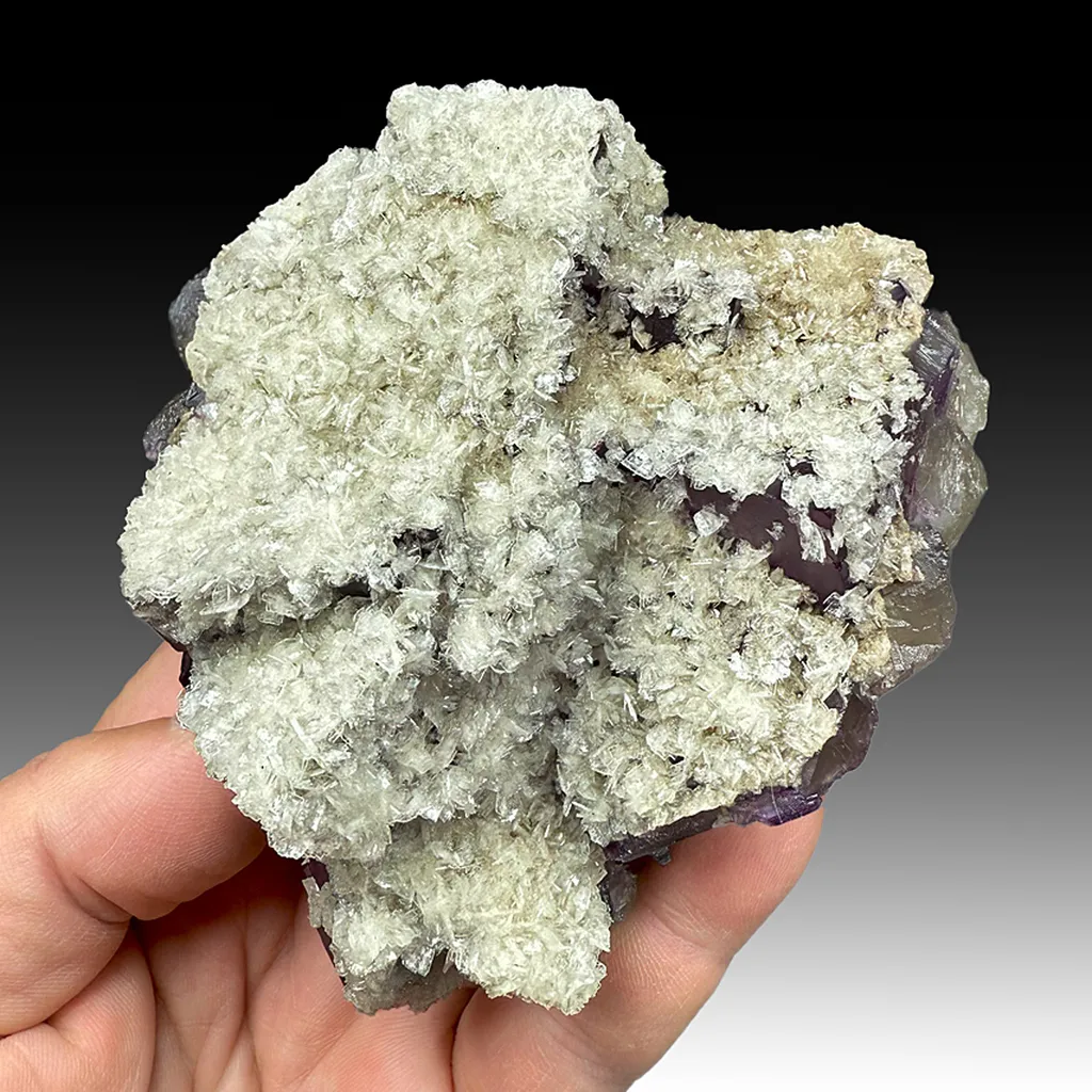 Barite with Fluorite image