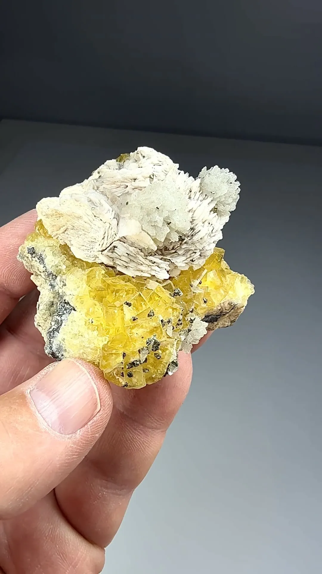 Barite with Fluorite, Calcite, Pyrite (2177) - image 2