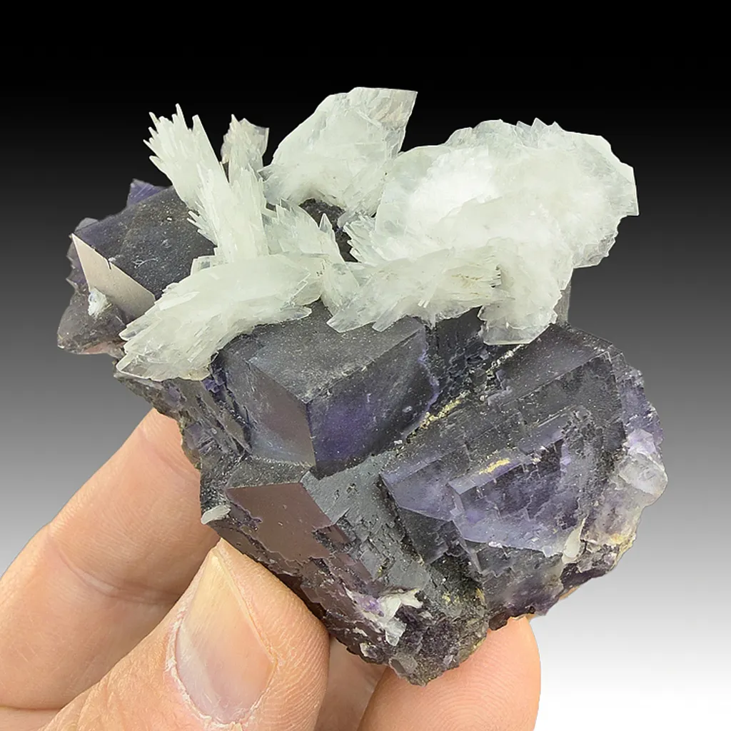 Barite with Fluorite