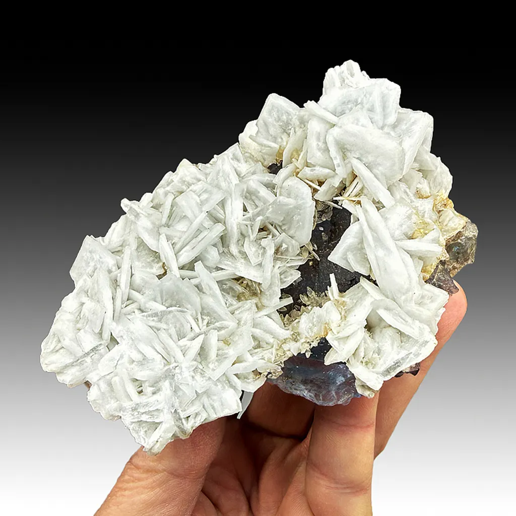 Barite with Fluorite image