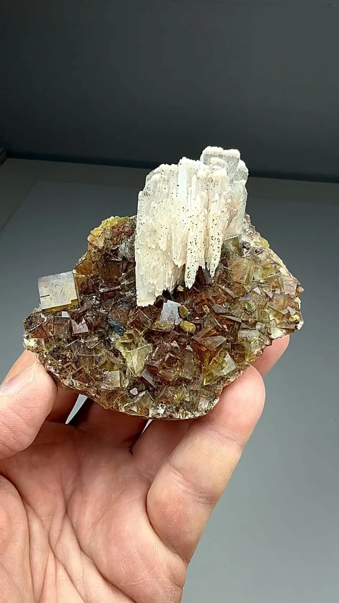 Barite with Fluorite, Chalcopyrite (2171) - image 3