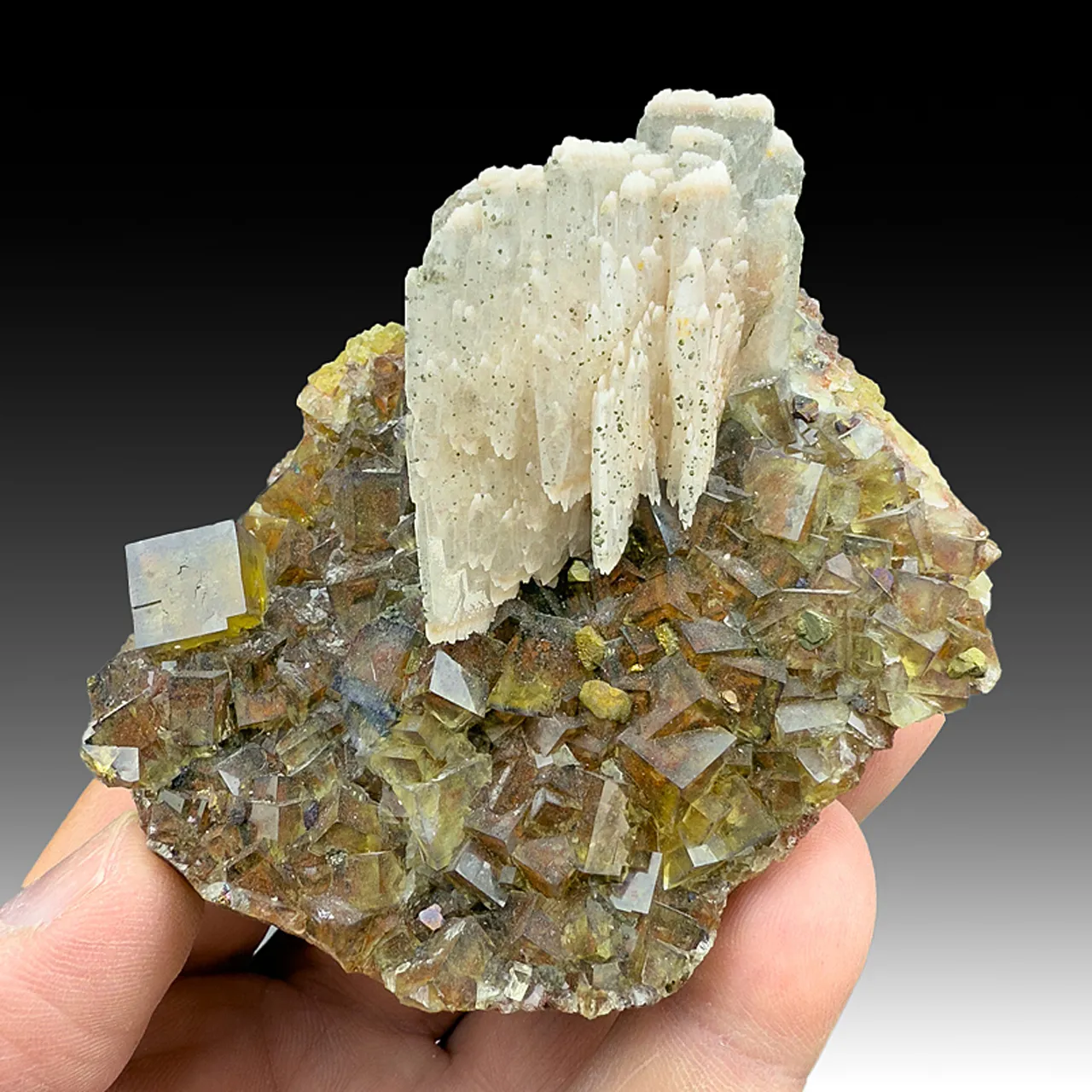 Barite with Fluorite, Chalcopyrite (2171) - image 2