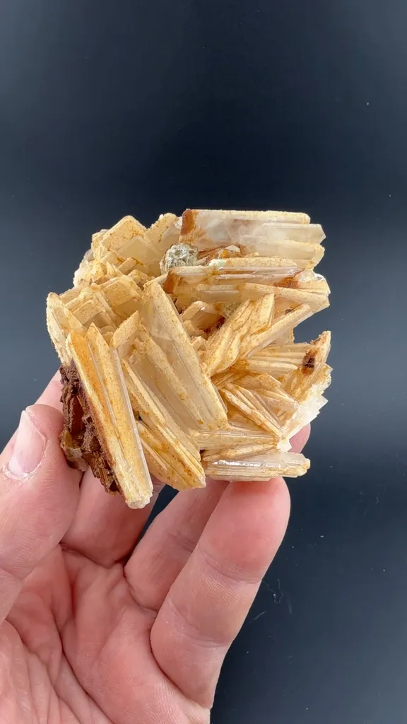 Barite with Fluorite image