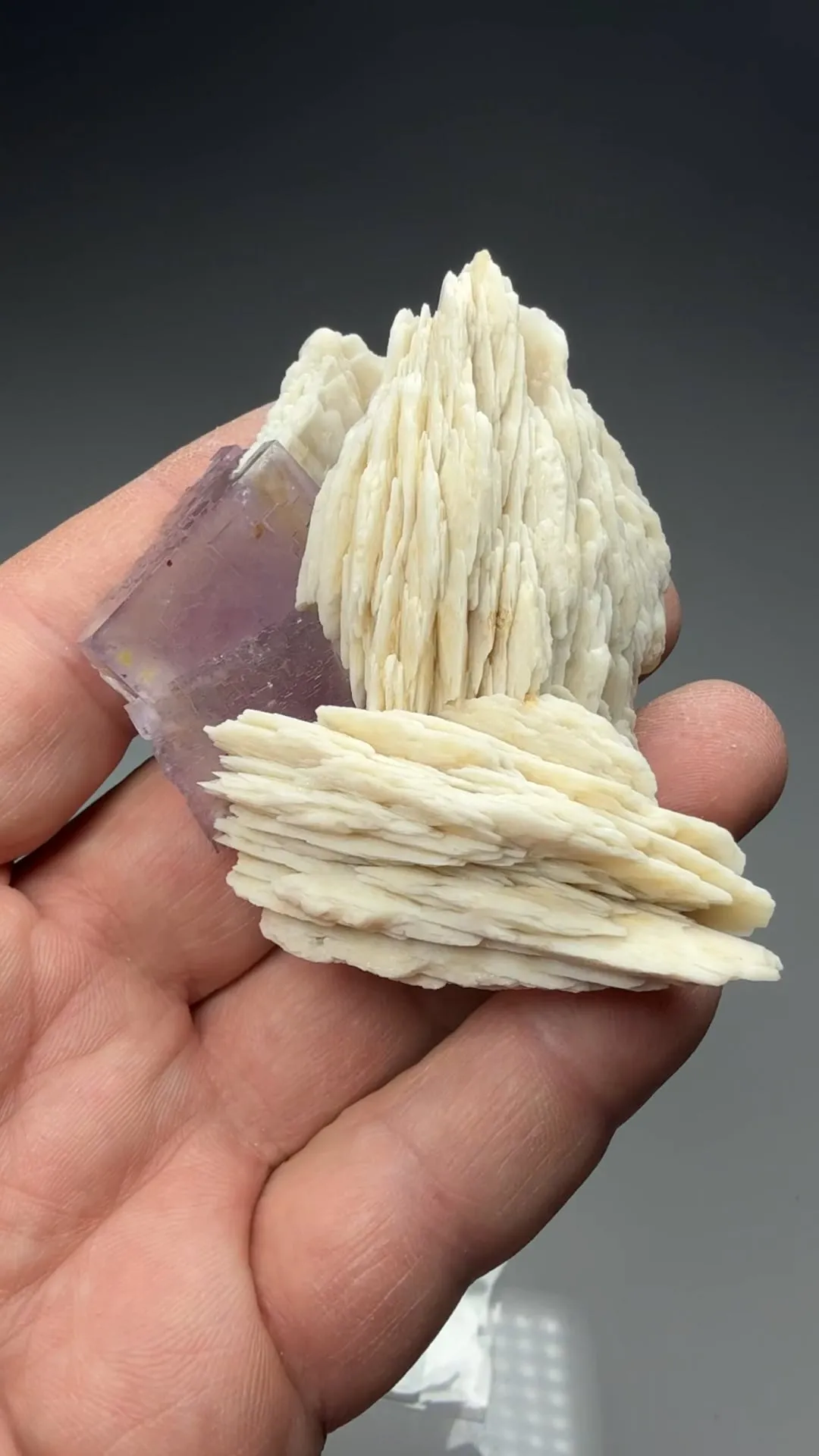 Barite with Fluorite - image 2