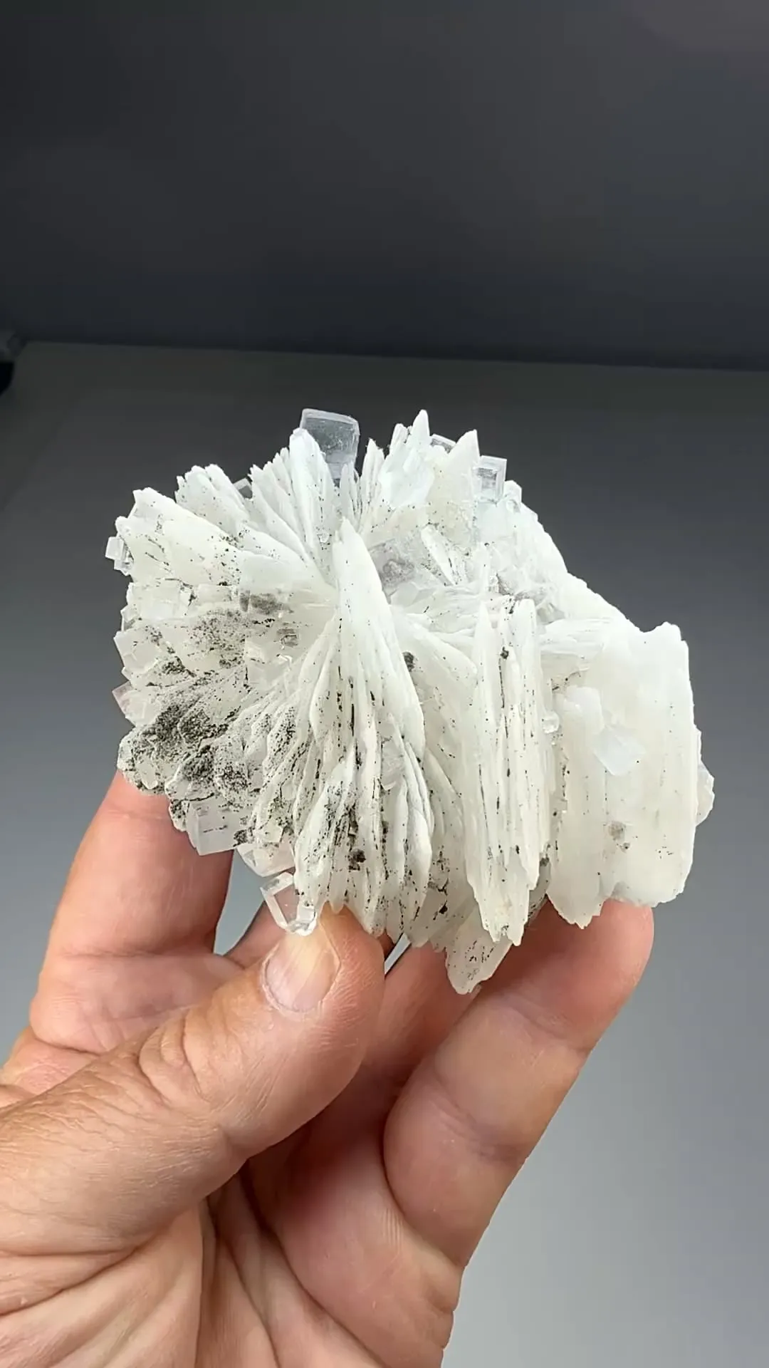 Barite with Fluorite, Pyrite (2087) - image 2