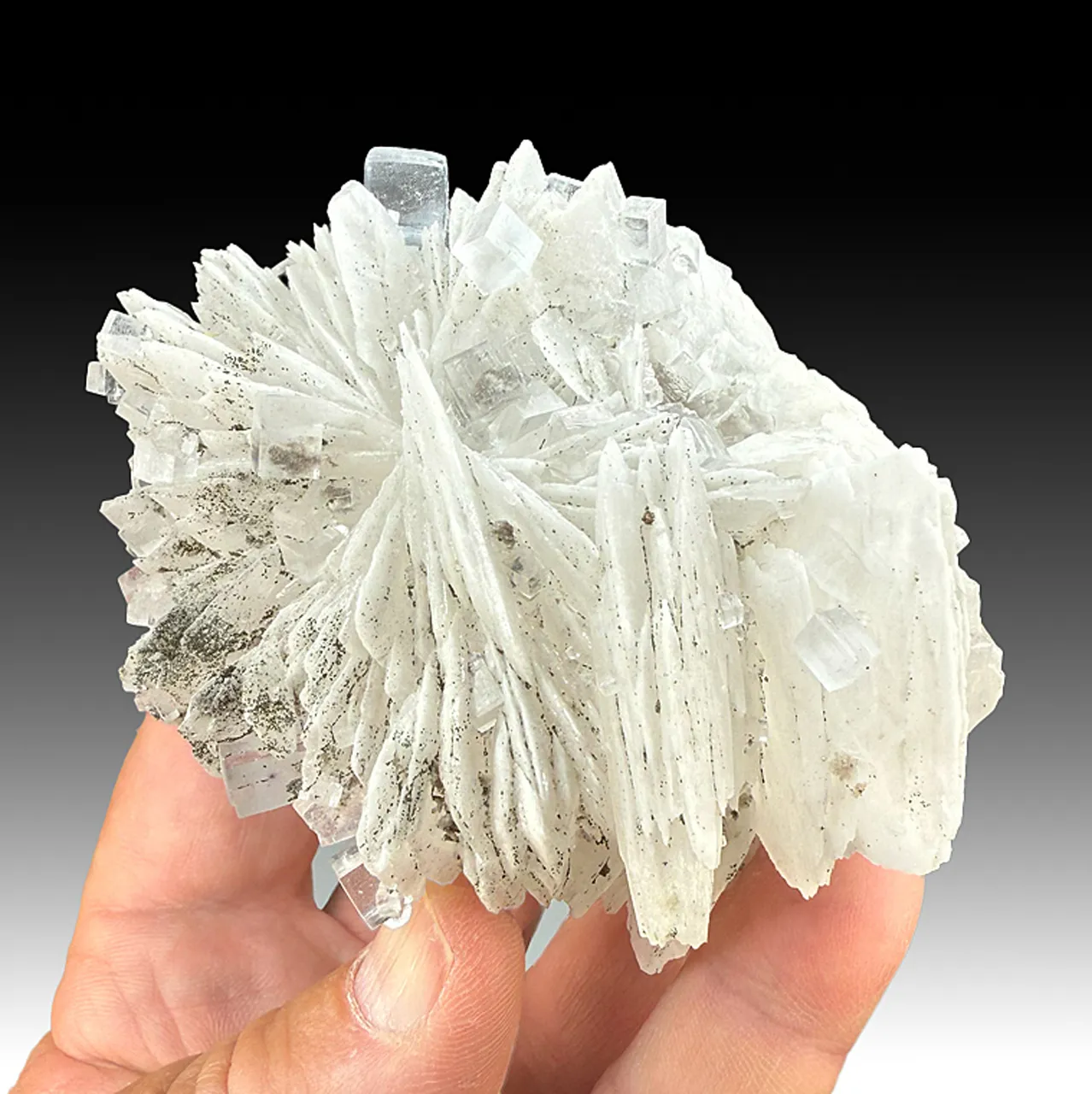 Barite with Fluorite, Pyrite (2087) - image 1