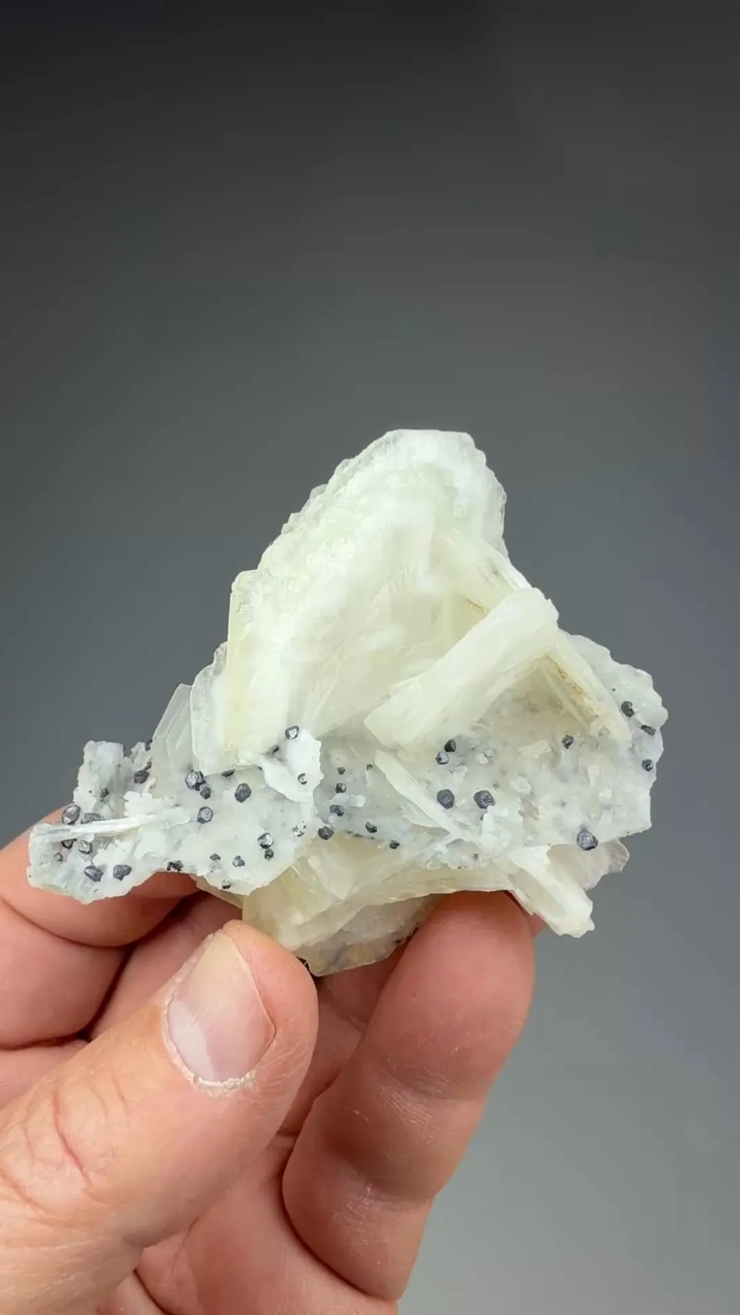 Barite with Galena - image 2