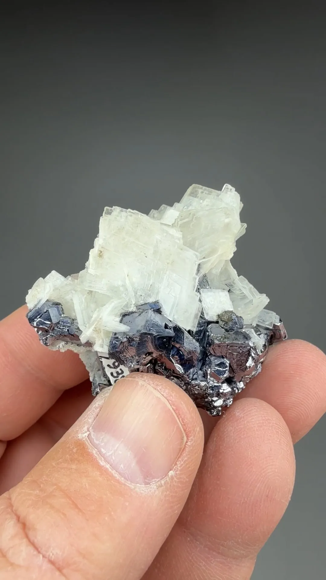 Barite with Galena - image 2