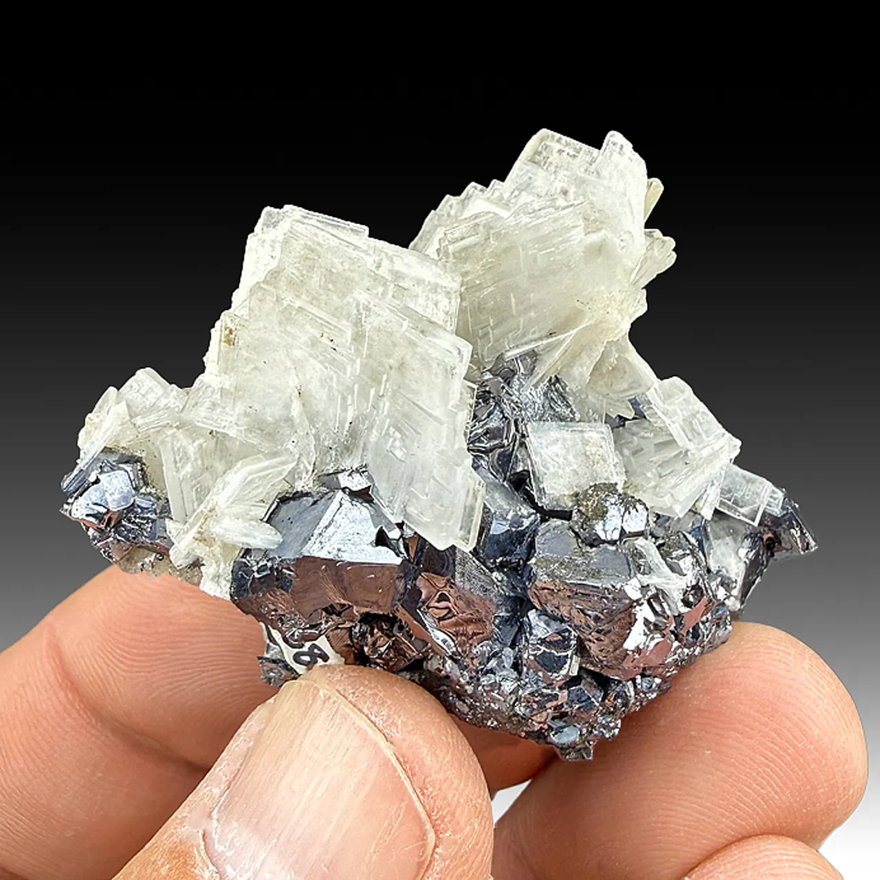 Barite with Galena - image 1