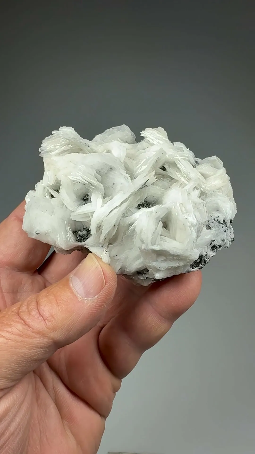 Barite with Galena - image 2
