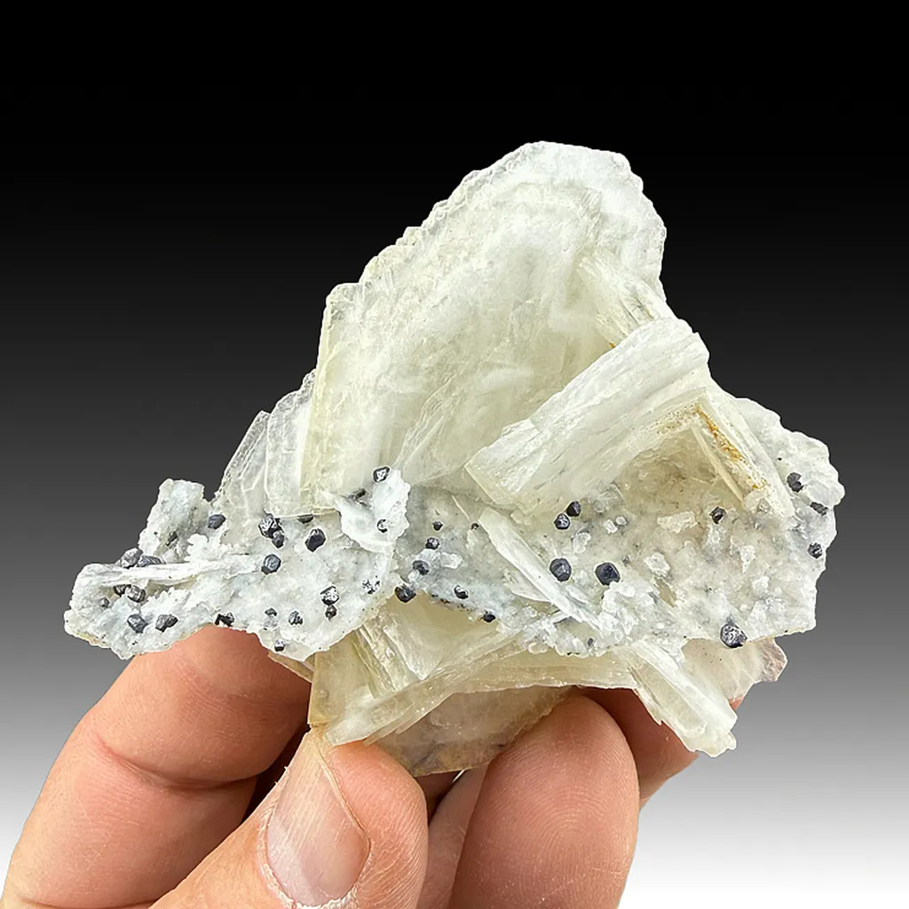 Barite with Galena image