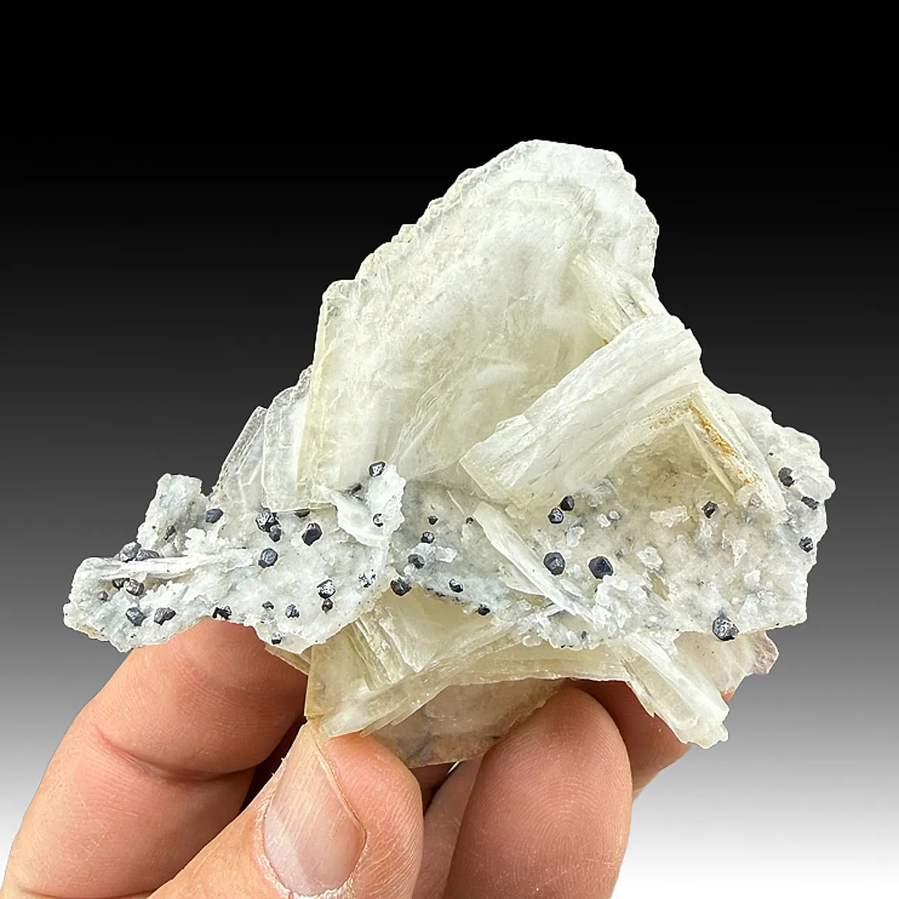 Barite with Galena - image 1
