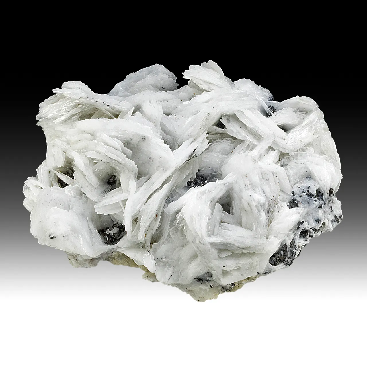 Barite with Galena - image 1