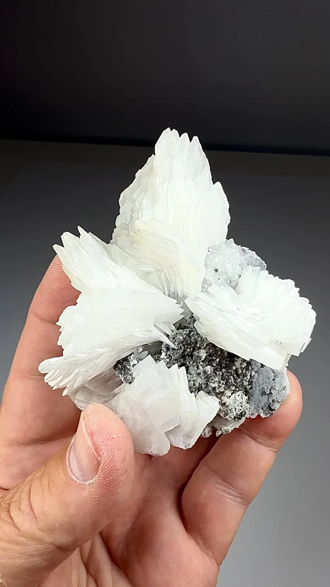 Barite with Galena, Pyrite (1563) - image 2