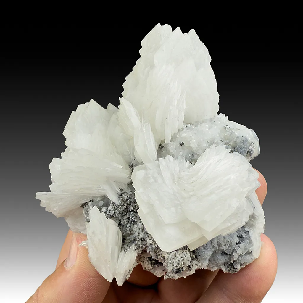 Barite with Galena, Pyrite (1563) image