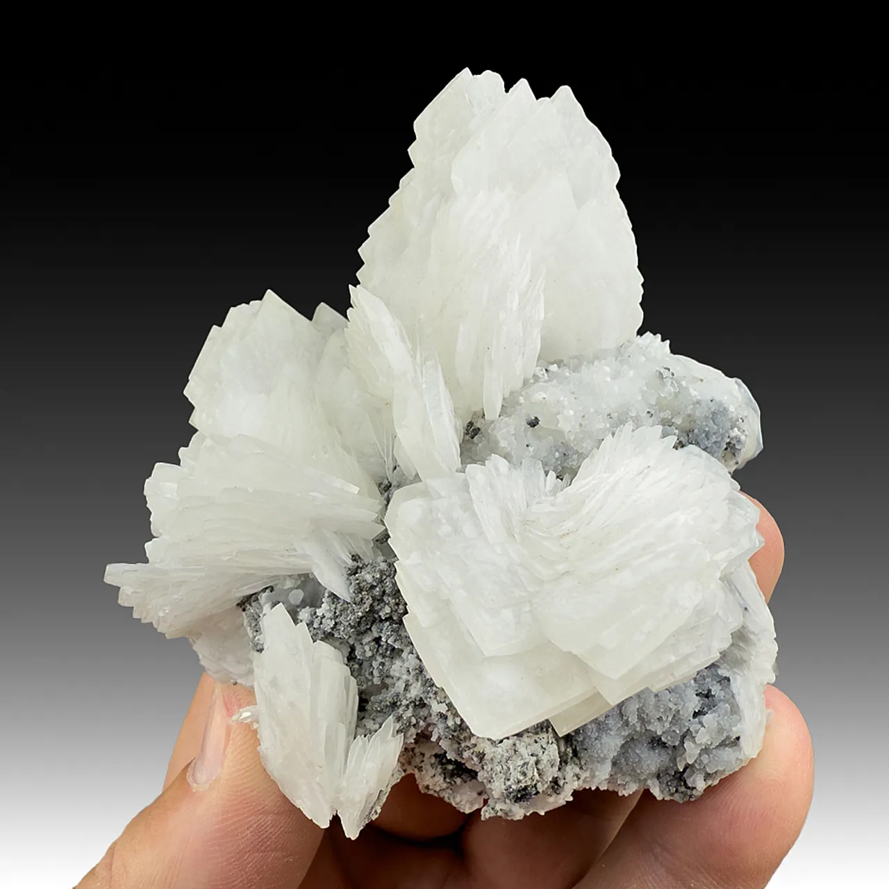 Barite with Galena, Pyrite (1563) - image 1