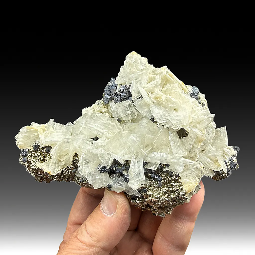Barite with Galena, Pyrite image