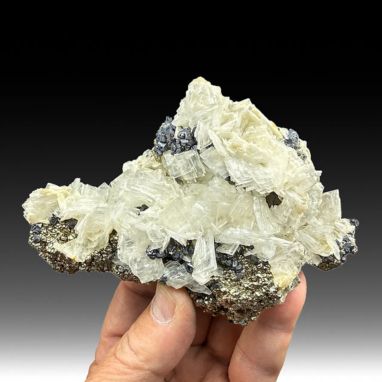 Barite with Galena, Pyrite - image 1