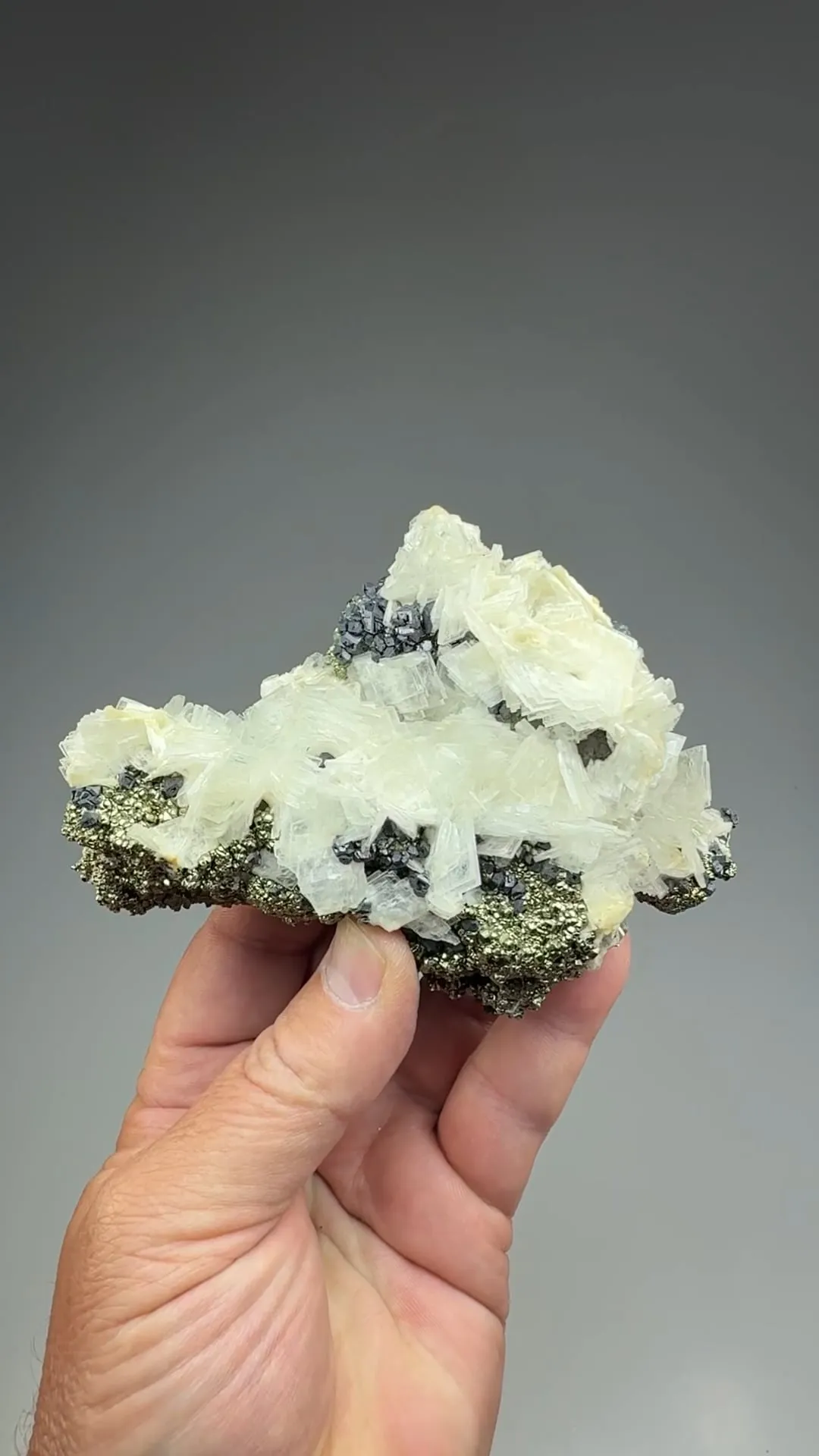 Barite with Galena, Pyrite - image 2
