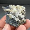 Barite with Hausmannite, Andradite - image 2