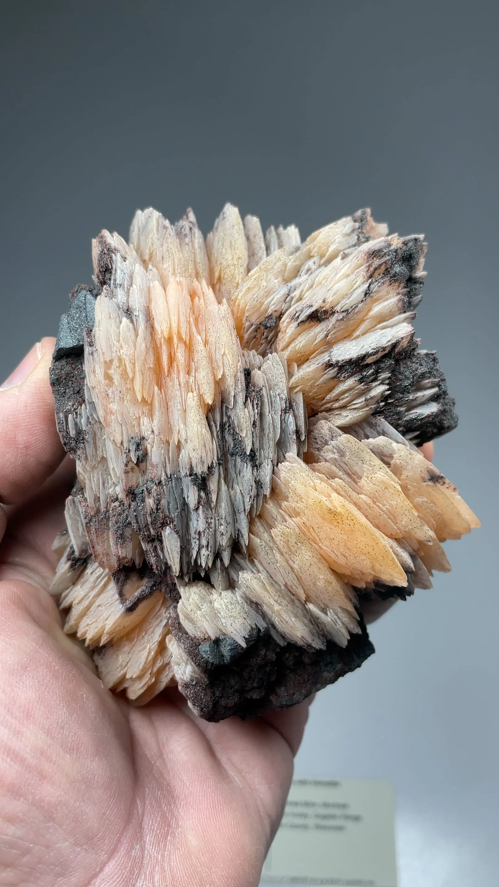 Barite with Hematite - image 2
