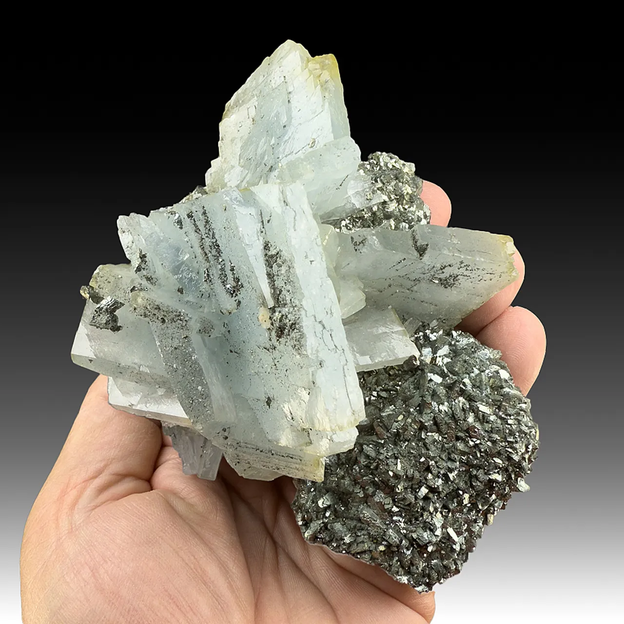 Barite with Marcasite - image 1