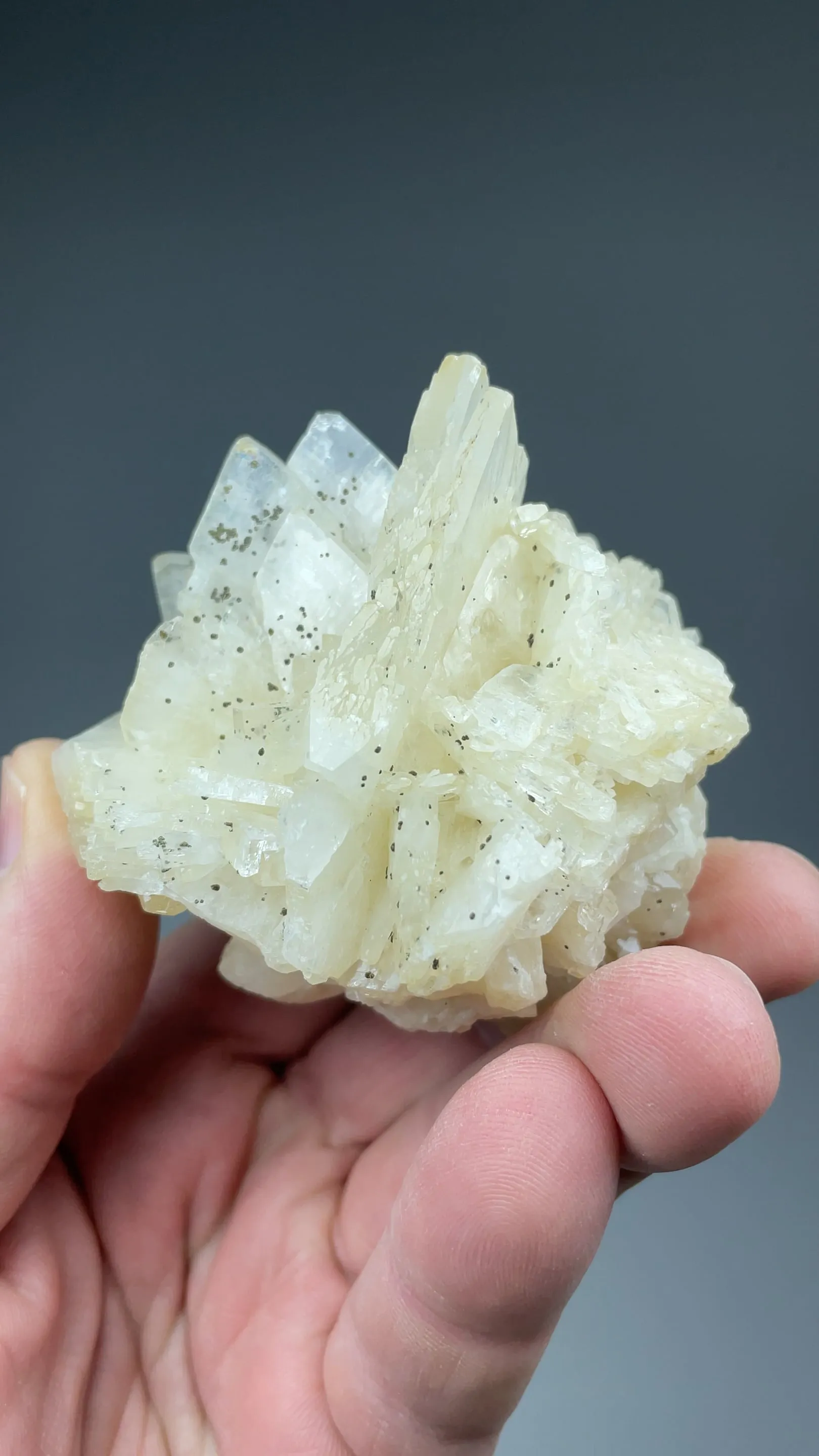 Barite with Marcasite - image 2