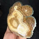 Barite With Marcasite - image 4