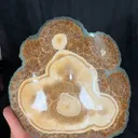specimen video