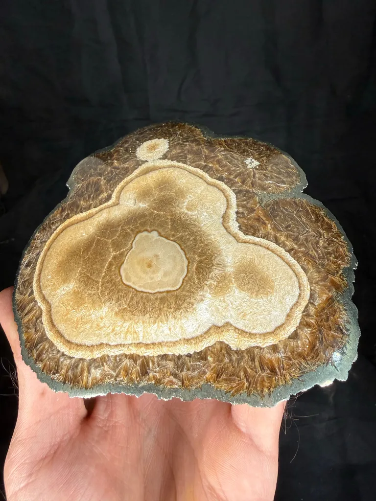 Barite With Marcasite - image 9