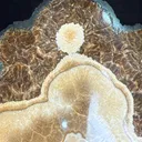 Barite With Marcasite - image 5