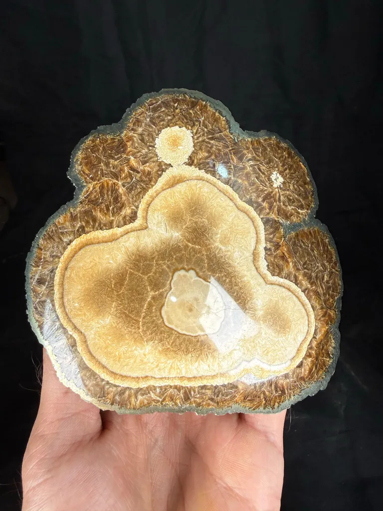 Barite With Marcasite - image 8