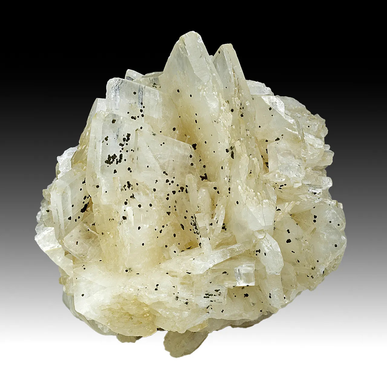 Barite with Marcasite - image 1