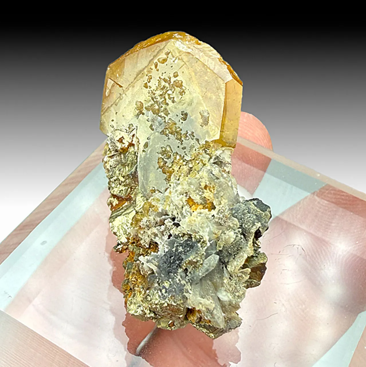 Barite with Pyrite (1557) - image 1